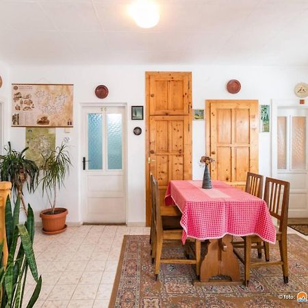 Pensiunea Bordas Panzio Sfântu-Gheorghe Exterior foto