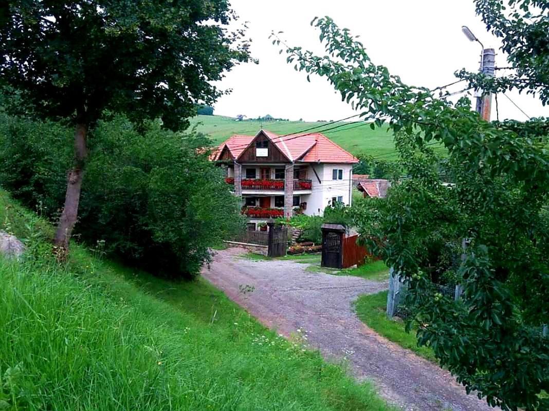 Pensiunea Bordas Panzio Sfântu-Gheorghe Exterior foto