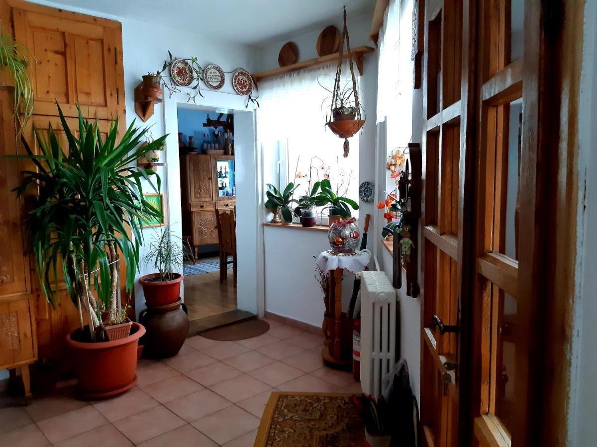 Pensiunea Bordas Panzio Sfântu-Gheorghe Exterior foto