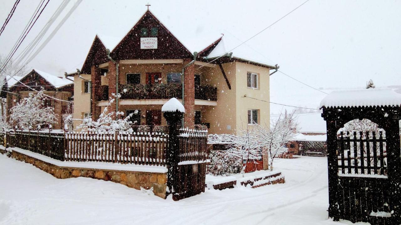 Pensiunea Bordas Panzio Sfântu-Gheorghe Exterior foto