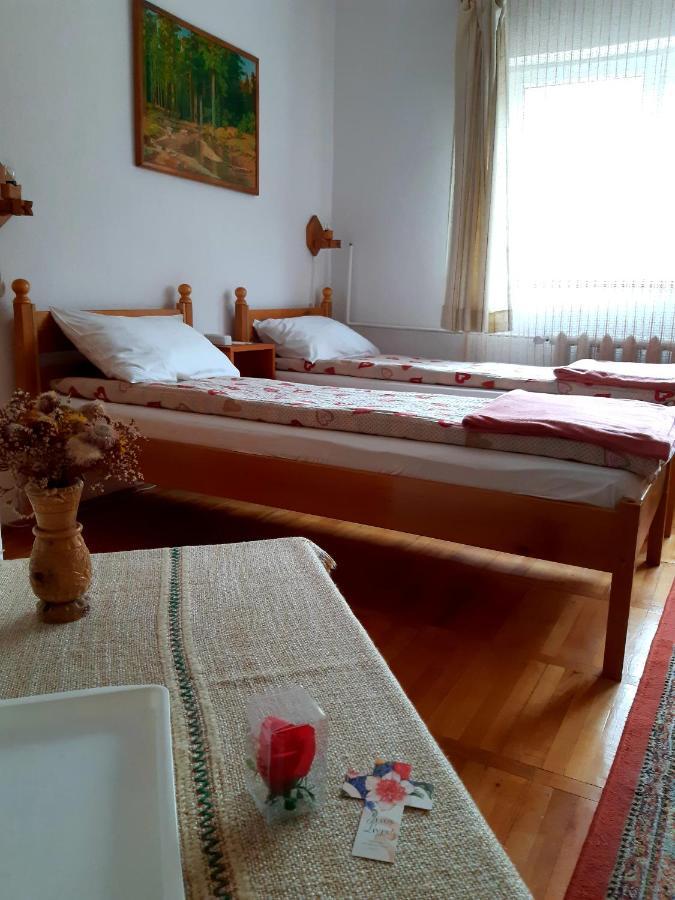Pensiunea Bordas Panzio Sfântu-Gheorghe Exterior foto