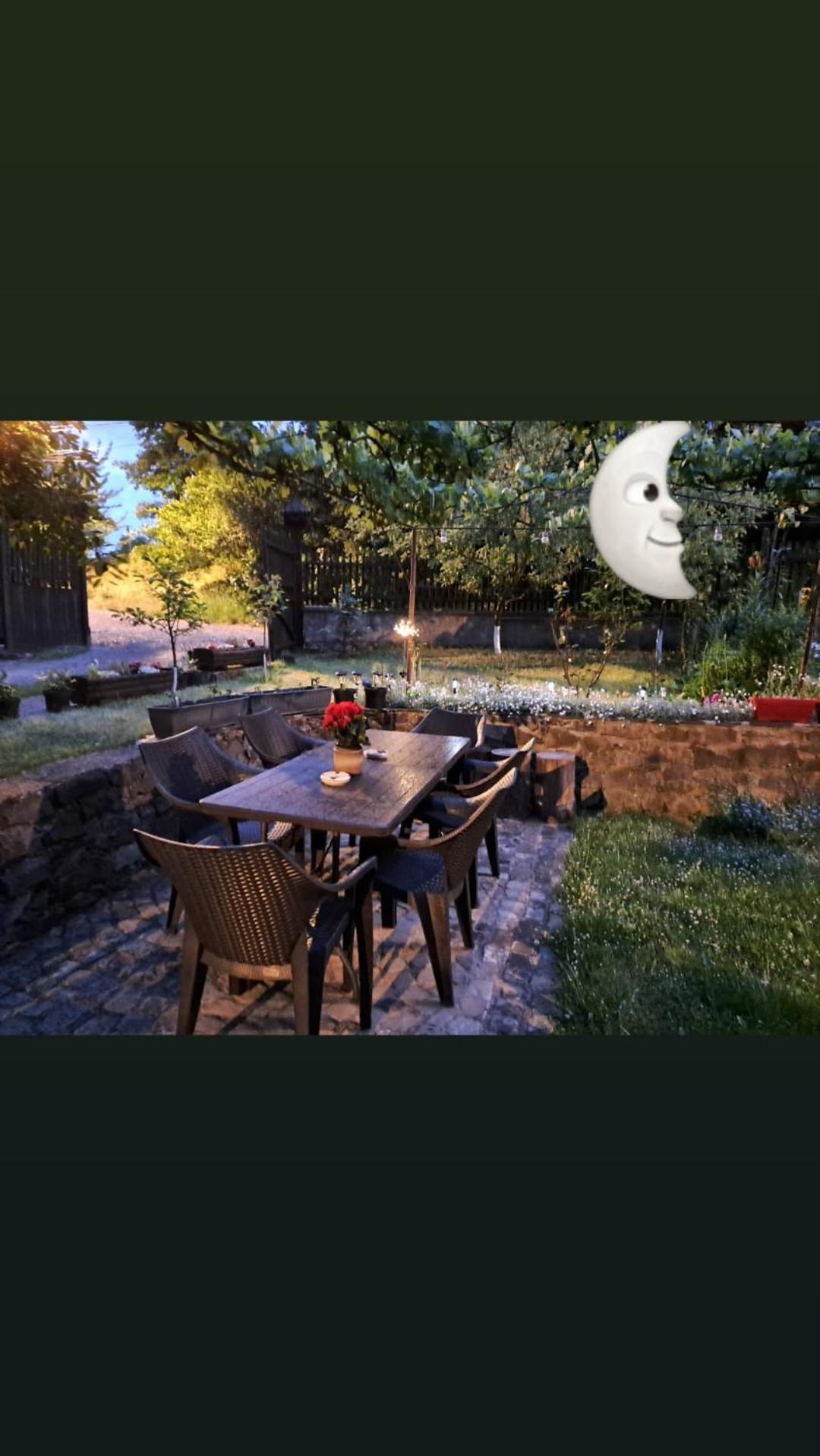 Pensiunea Bordas Panzio Sfântu-Gheorghe Exterior foto