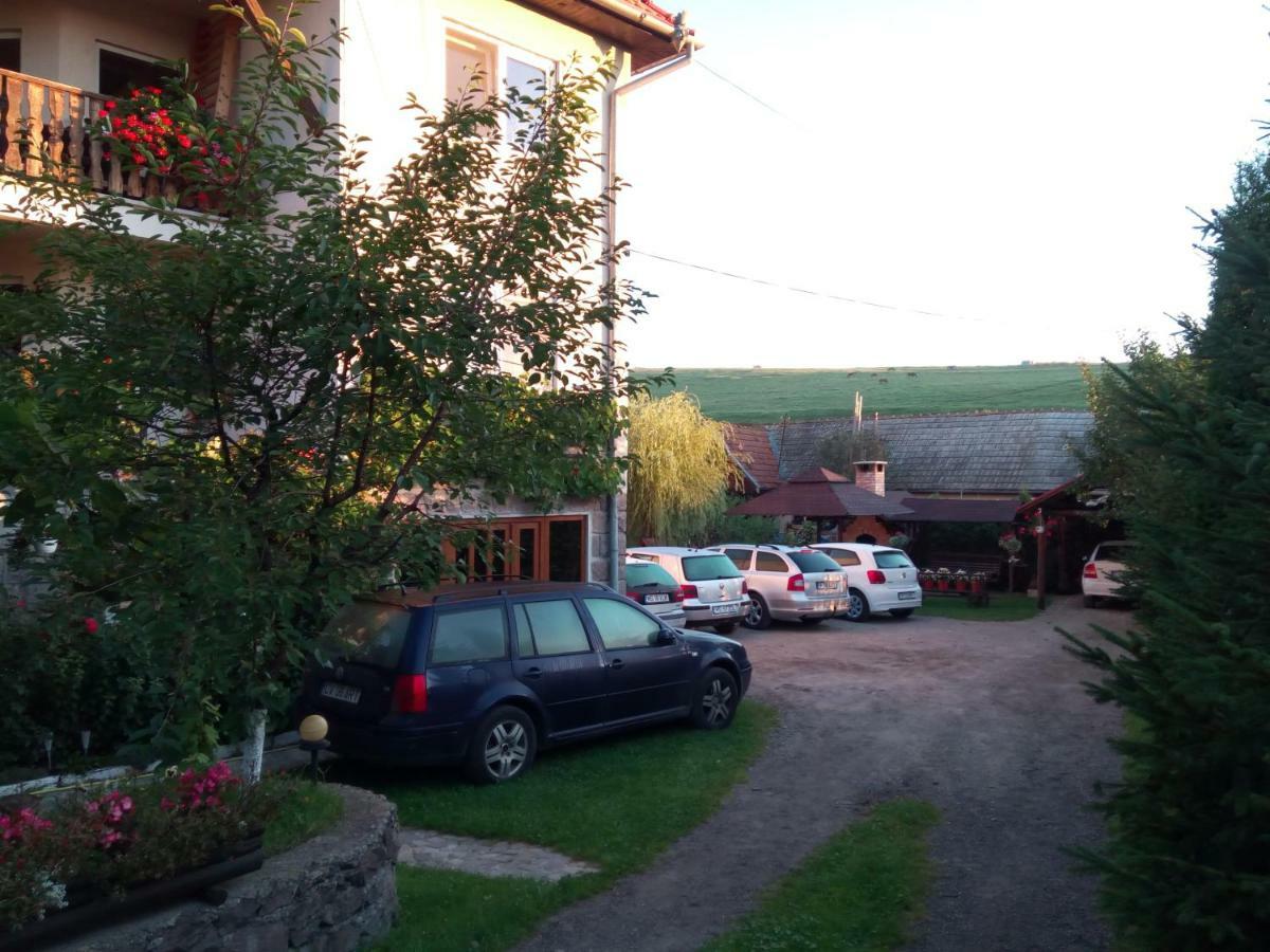 Pensiunea Bordas Panzio Sfântu-Gheorghe Exterior foto