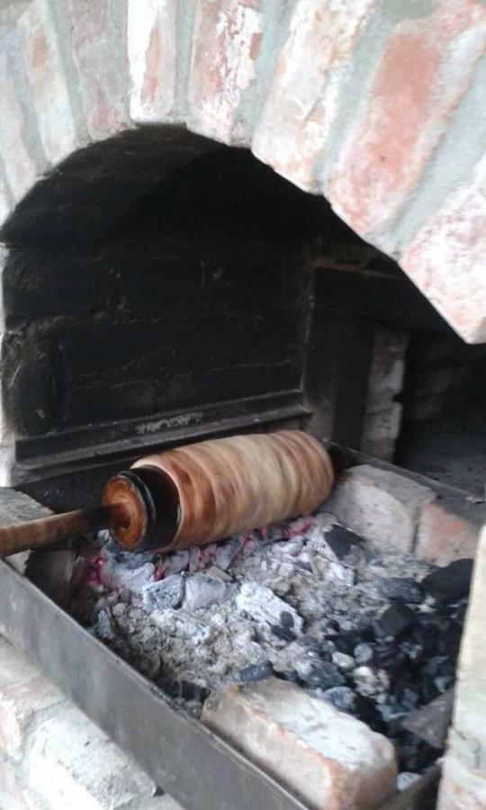 Pensiunea Bordas Panzio Sfântu-Gheorghe Exterior foto