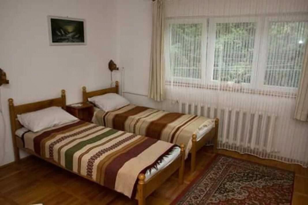 Pensiunea Bordas Panzio Sfântu-Gheorghe Exterior foto