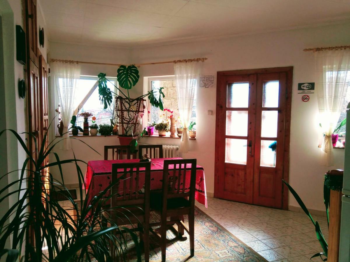Pensiunea Bordas Panzio Sfântu-Gheorghe Exterior foto