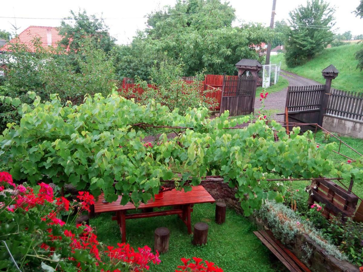 Pensiunea Bordas Panzio Sfântu-Gheorghe Exterior foto