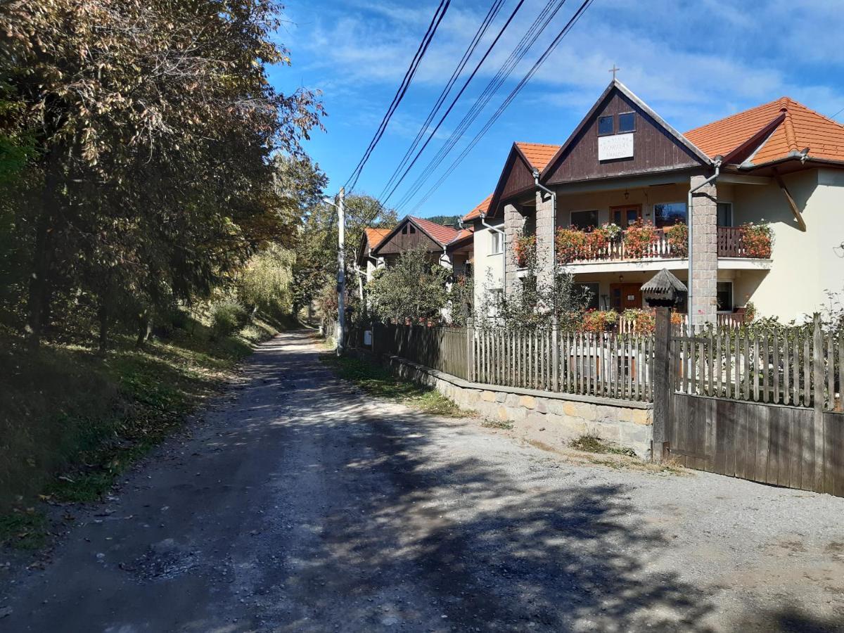 Pensiunea Bordas Panzio Sfântu-Gheorghe Exterior foto